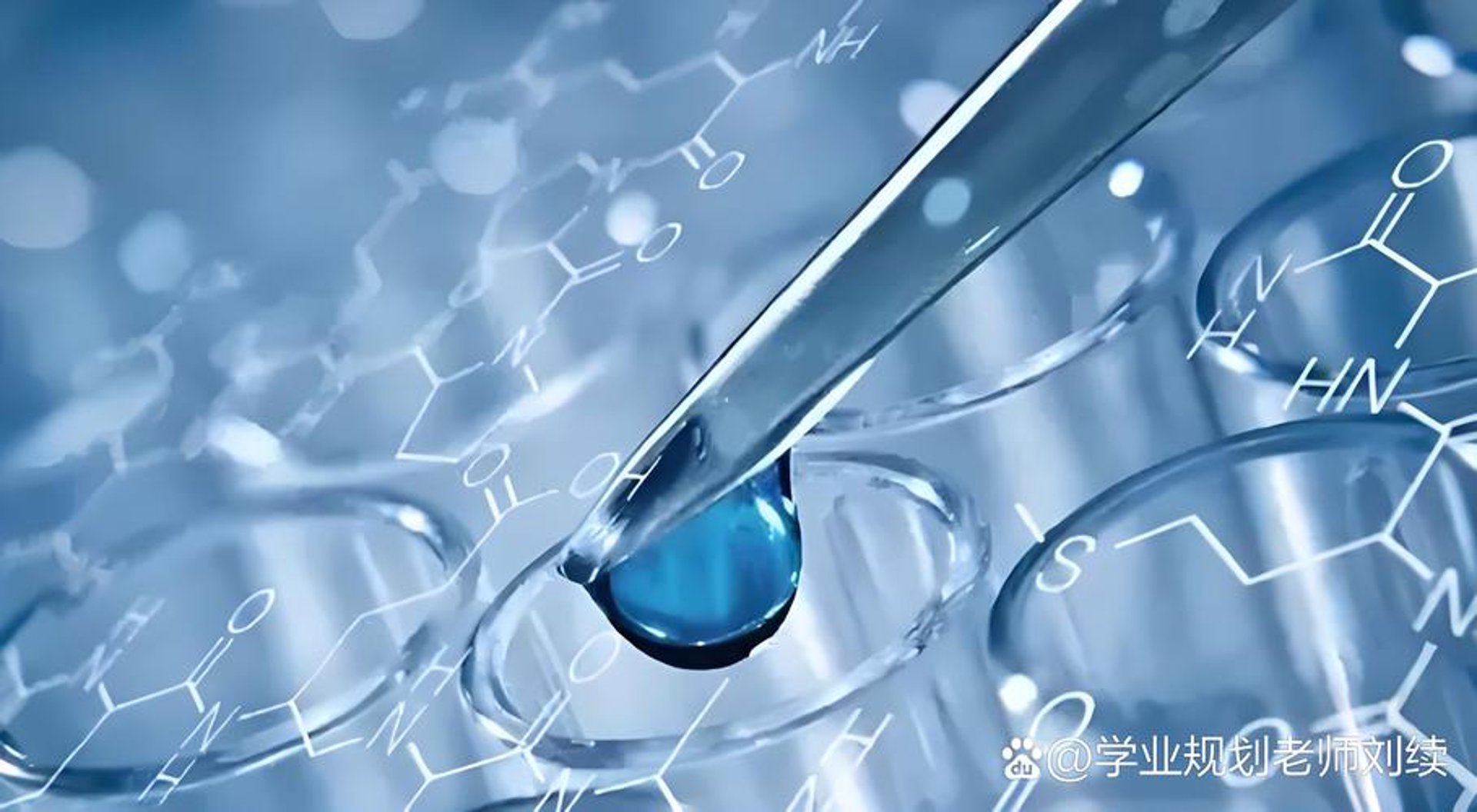 泰泽乐生物
