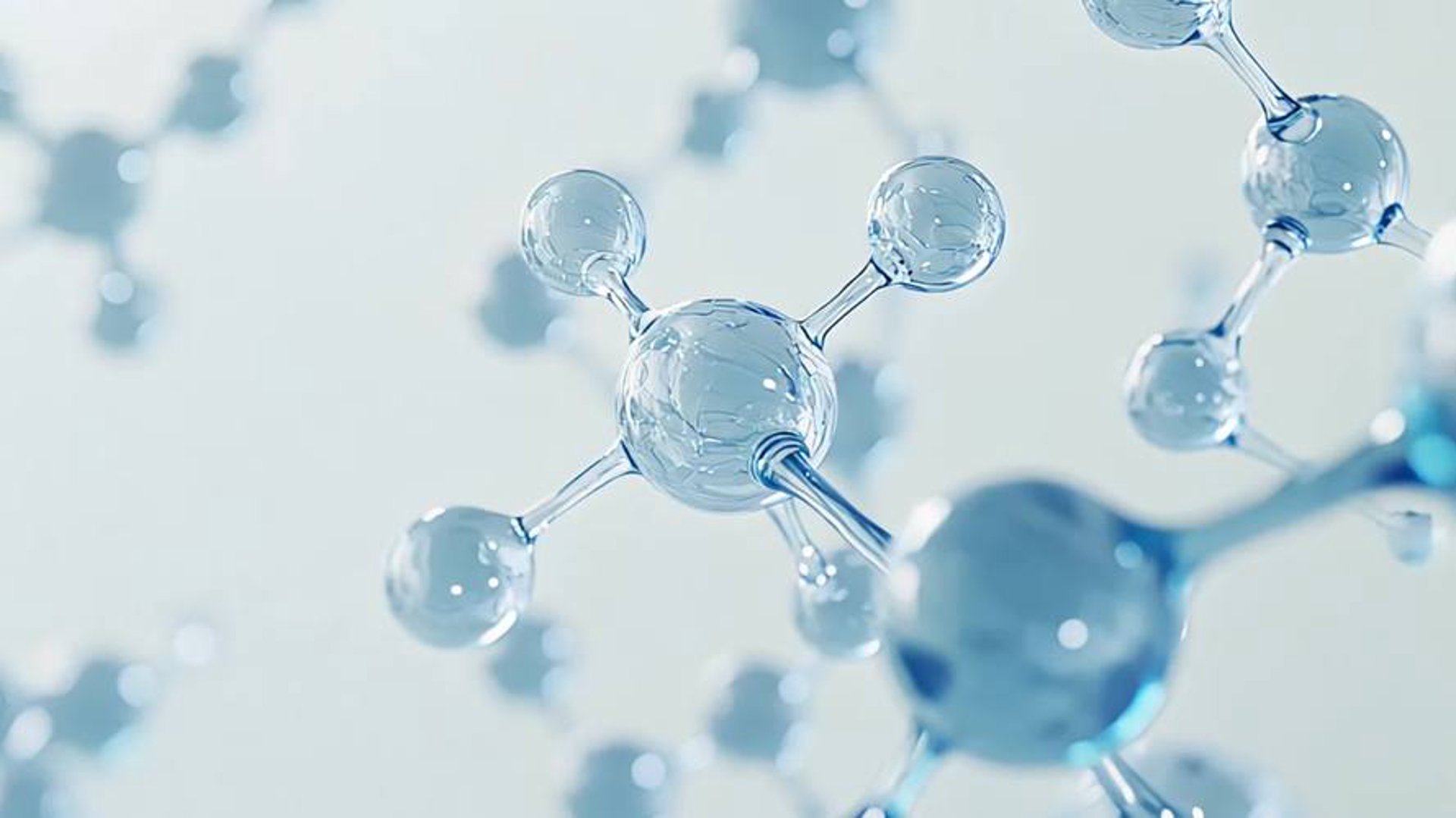 泰泽乐生物